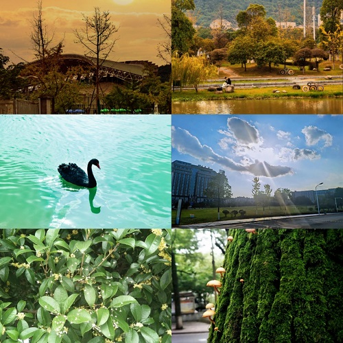 1607684799406865.jpg 1607684799406865.jpg