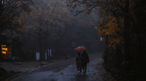 1620740692234953.png 1620740692234953.png