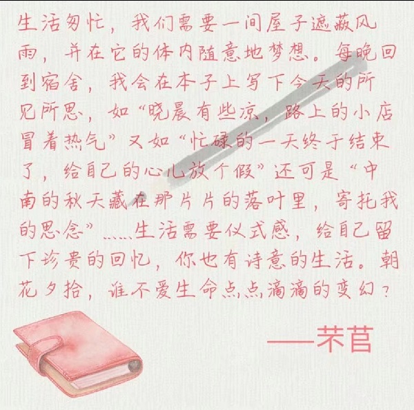 1574776826991495.jpg 3.jpg