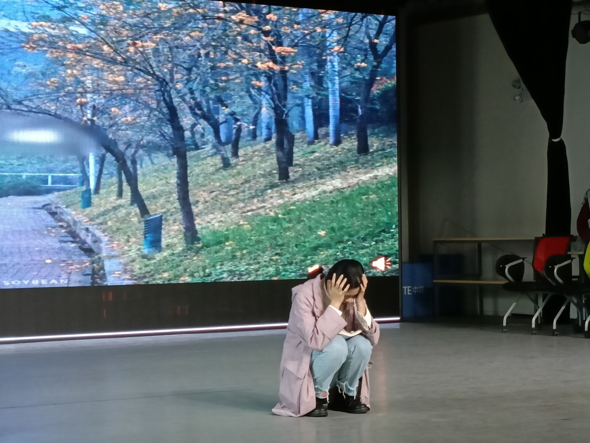 1636122668869069.jpg 1636122668869069.jpg