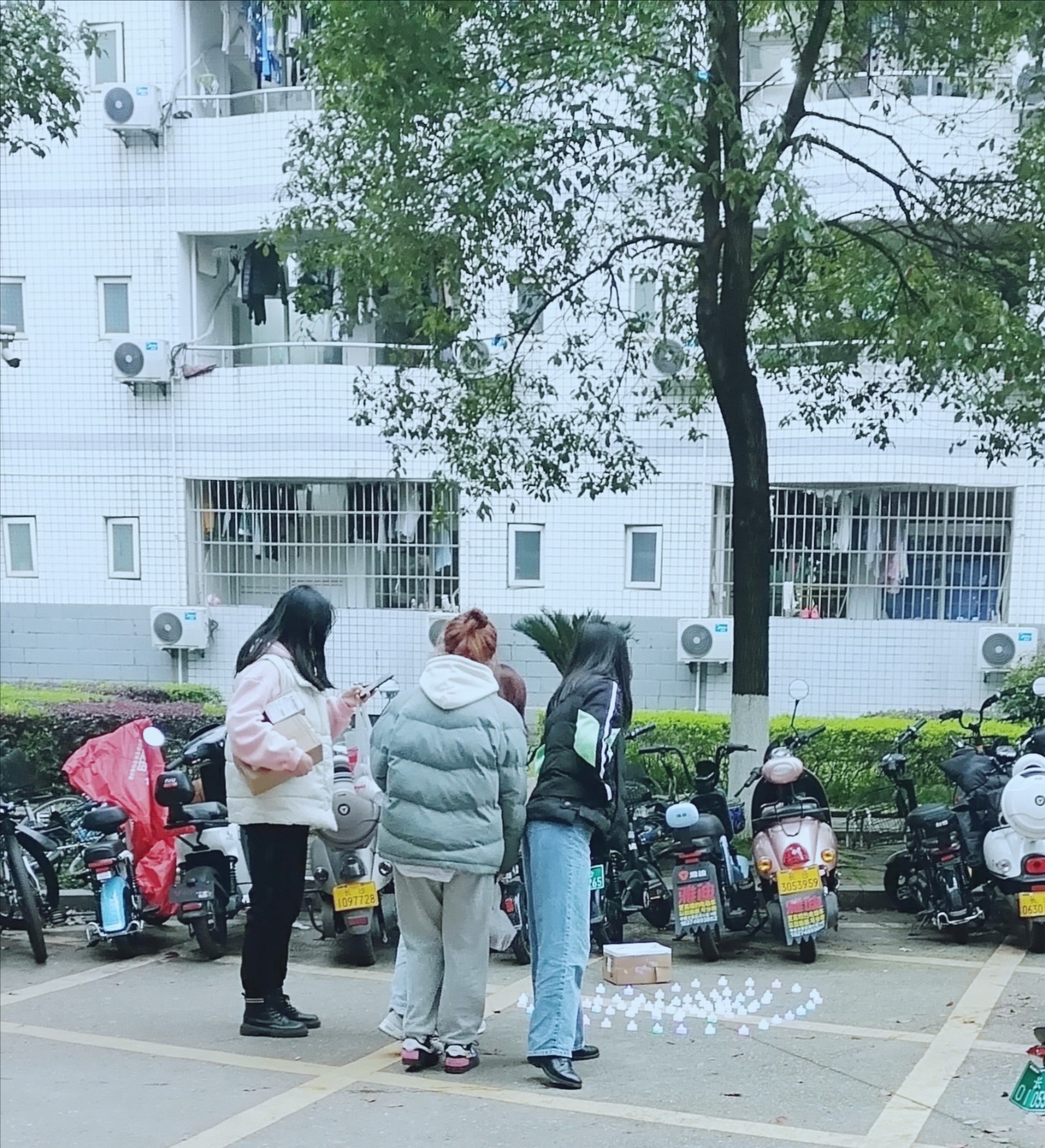 1615124568291884.jpg 1615124568291884.jpg